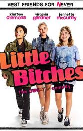 Little Bitches poster