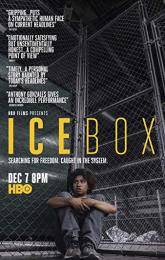 Icebox poster