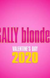 Legally Blonde 3 poster