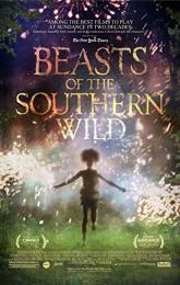 Beasts of the Southern Wild poster