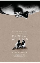 Perfect as Cats poster