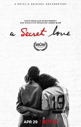 A Secret Love poster