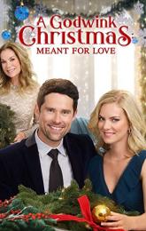 A Godwink Christmas: Meant for Love poster