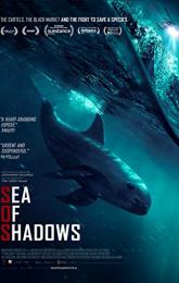 Sea of Shadows poster