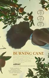 Burning Cane poster
