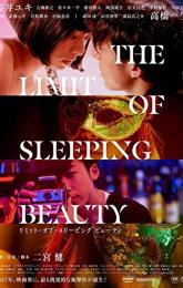 The Limit of Sleeping Beauty poster