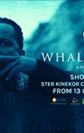The Whale Caller poster