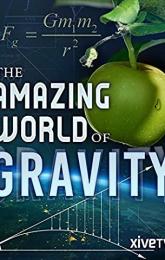 Gravity and Me: The Force That Shapes Our Lives poster