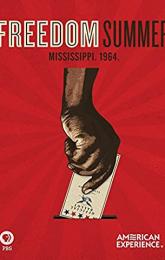 Freedom Summer poster