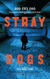 Stray Dogs poster