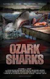 Ozark Sharks poster