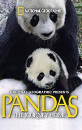 Pandas: The Journey Home poster
