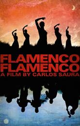 Flamenco Flamenco poster