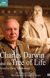 Charles Darwin and the Tree of Life poster