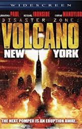 Disaster Zone: Volcano in New York poster