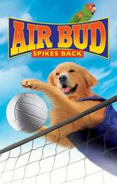 Air Bud: Spikes Back poster