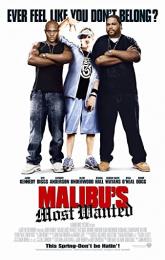 Malibu's Most Wanted poster