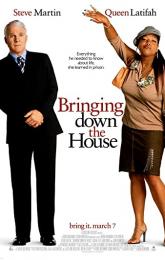 Bringing Down the House poster