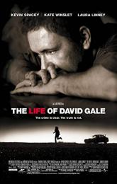 The Life of David Gale poster