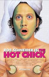 The Hot Chick poster