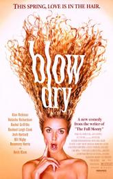 Blow Dry poster