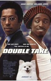 Double Take poster