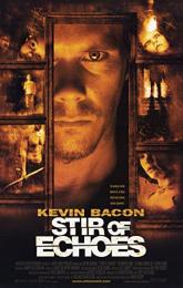Stir of Echoes poster