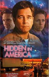 Hidden in America poster