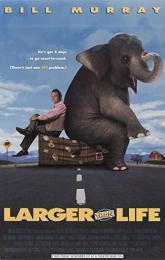 Larger Than Life poster