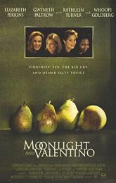 Moonlight and Valentino poster