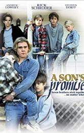 A Son's Promise poster