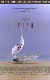 Wind poster