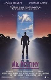 Mr. Destiny poster