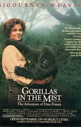 Gorillas in the Mist poster