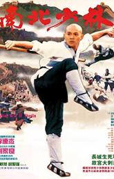 Martial Arts of Shaolin poster