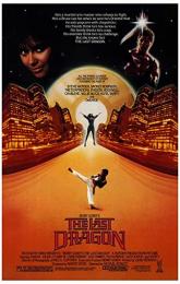 The Last Dragon poster