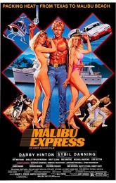 Malibu Express poster