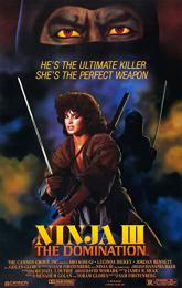 Ninja III: The Domination poster