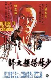 Return to the 36th Chamber poster