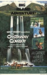 The Castaway Cowboy poster