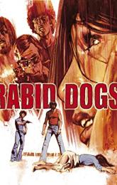 Rabid Dogs poster