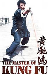 The Master of Kung Fu poster