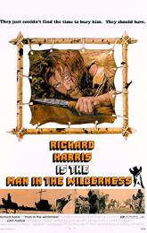 Man in the Wilderness poster
