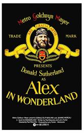 Alex in Wonderland poster