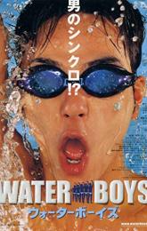 Waterboys poster