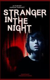 Stranger in the Night poster