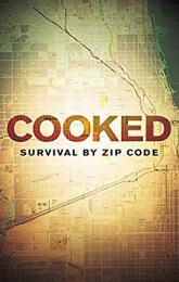 Cooked: Survival by Zip Code poster