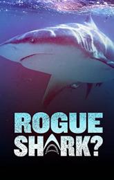 Rogue Shark? poster