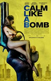 Calm Like a Bomb poster