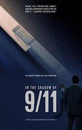 In the Shadow of 9/11 poster